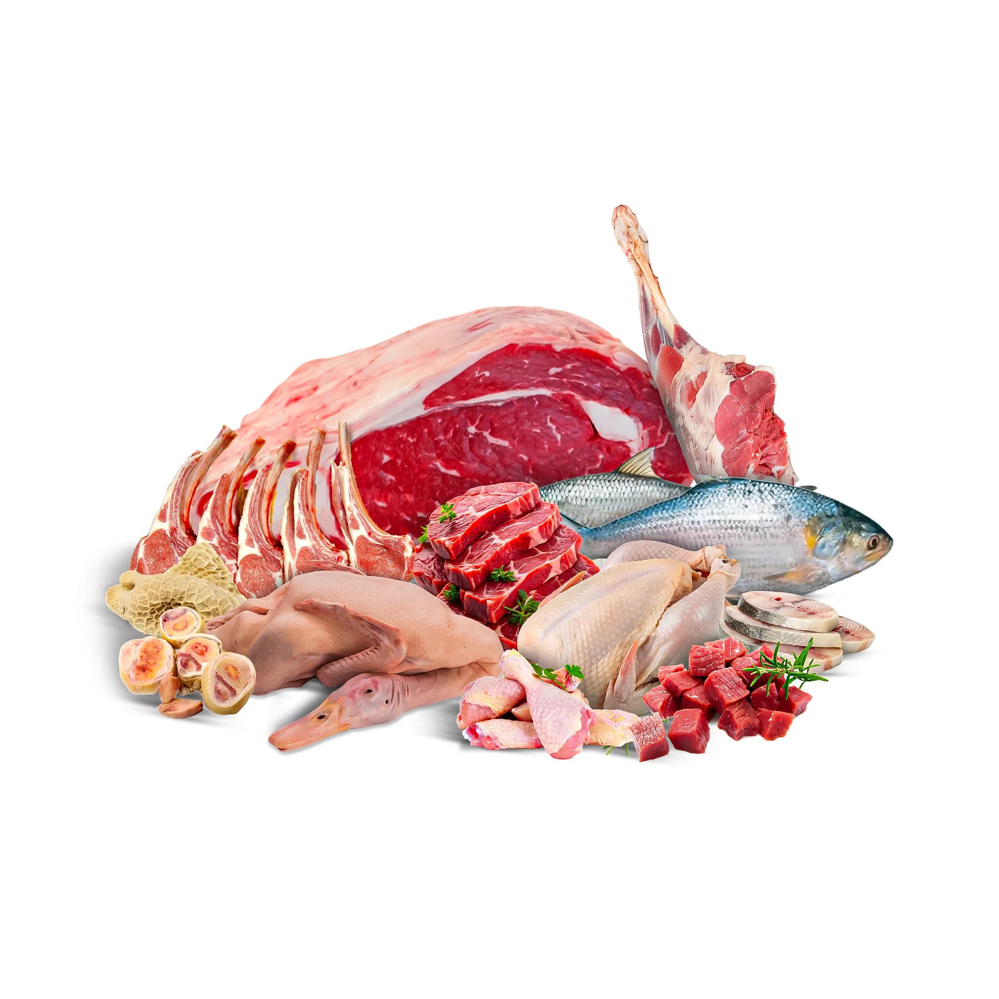 Meat & Fish