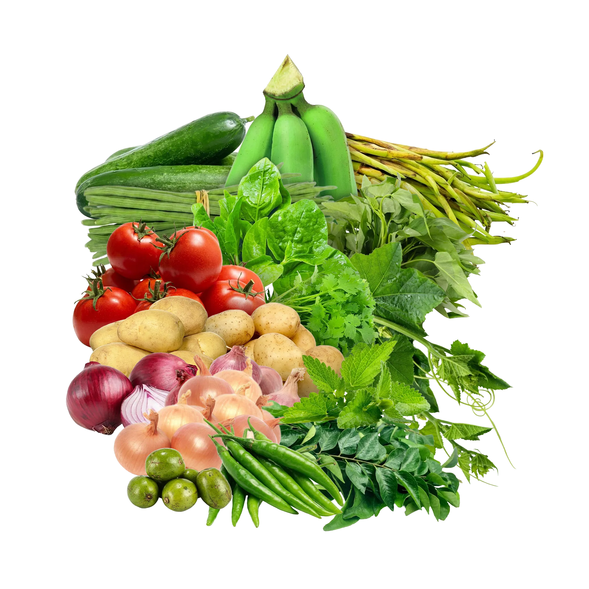 Vegetable